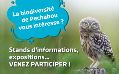 Pechabou renforce ses actions pour la biodiversité avec l’Atlas intercommunal