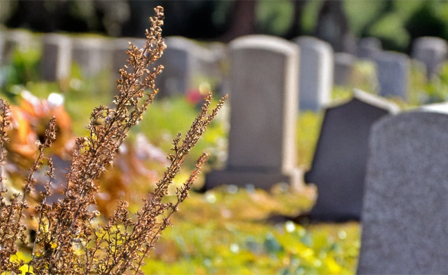 Fermeture temporaire du cimetière du village pour travaux de plantation